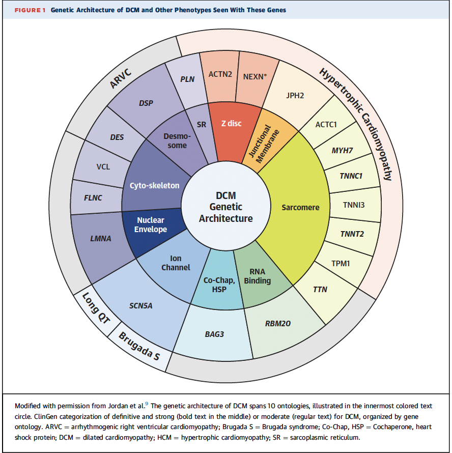 Predicting the Development of Dilated Cardiomyopathy in Kindred With Genetic Risk

@JACCJournals 

jacc.org/doi/10.1016/j.…