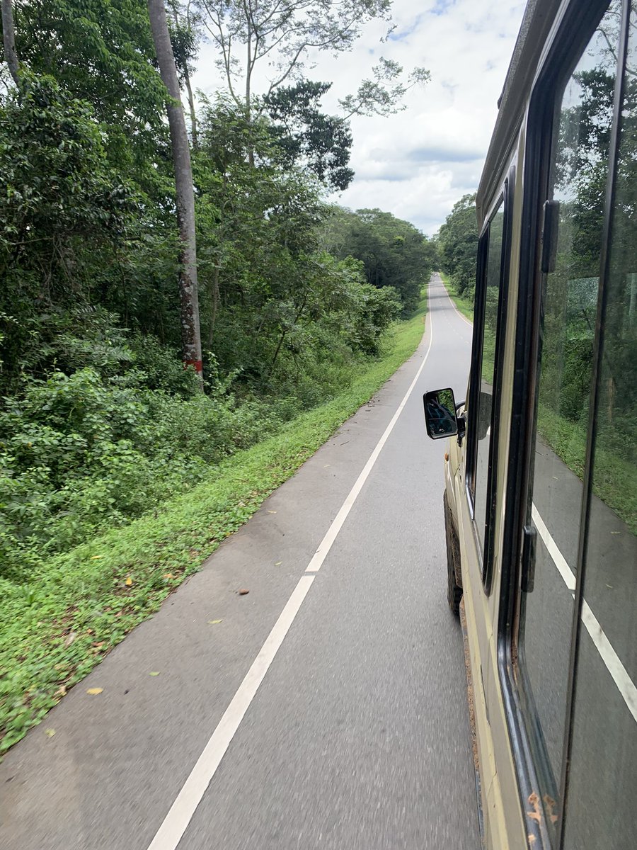 Gavi_Muwa57's tweet photo. A simple Drive through Bundongo Central Forest Reserve. It is one of the best Destinations to track chimpanzees in Uganda 🇺🇬 today. 

Come let me take you there 
Email: allanbsafaris@gmail.com 
WhatsApp: +256 770 985030 

#chimpanzee #budongo #travelling #exploreuganda https://t.co/MR7licm4by
