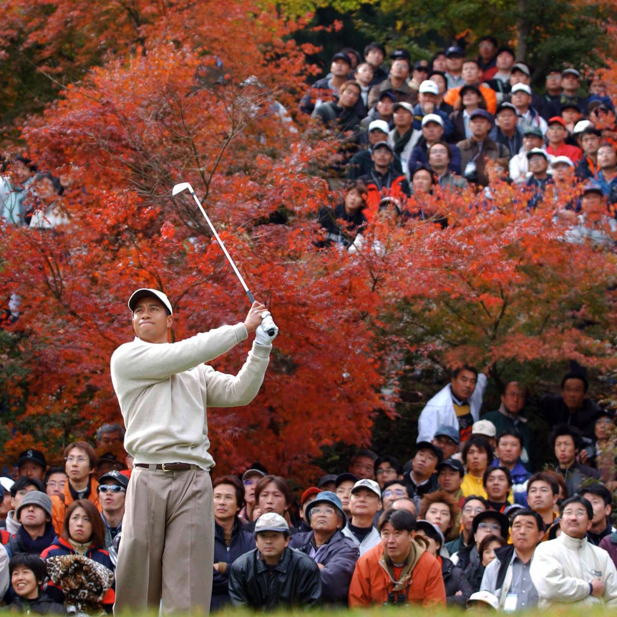 In 2001, Tiger Woods and David Duval teamed up for the WGC-World Cup at this week's venue, Taiheiyo Club Gotemba. 

#ISPSHandaChampionship | #TourArchive