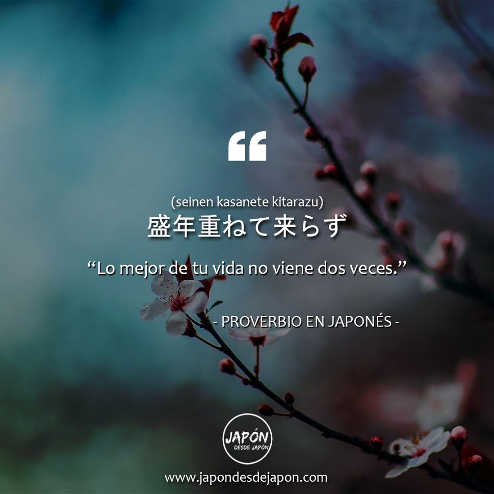 Japón desde Japón™ tweet media