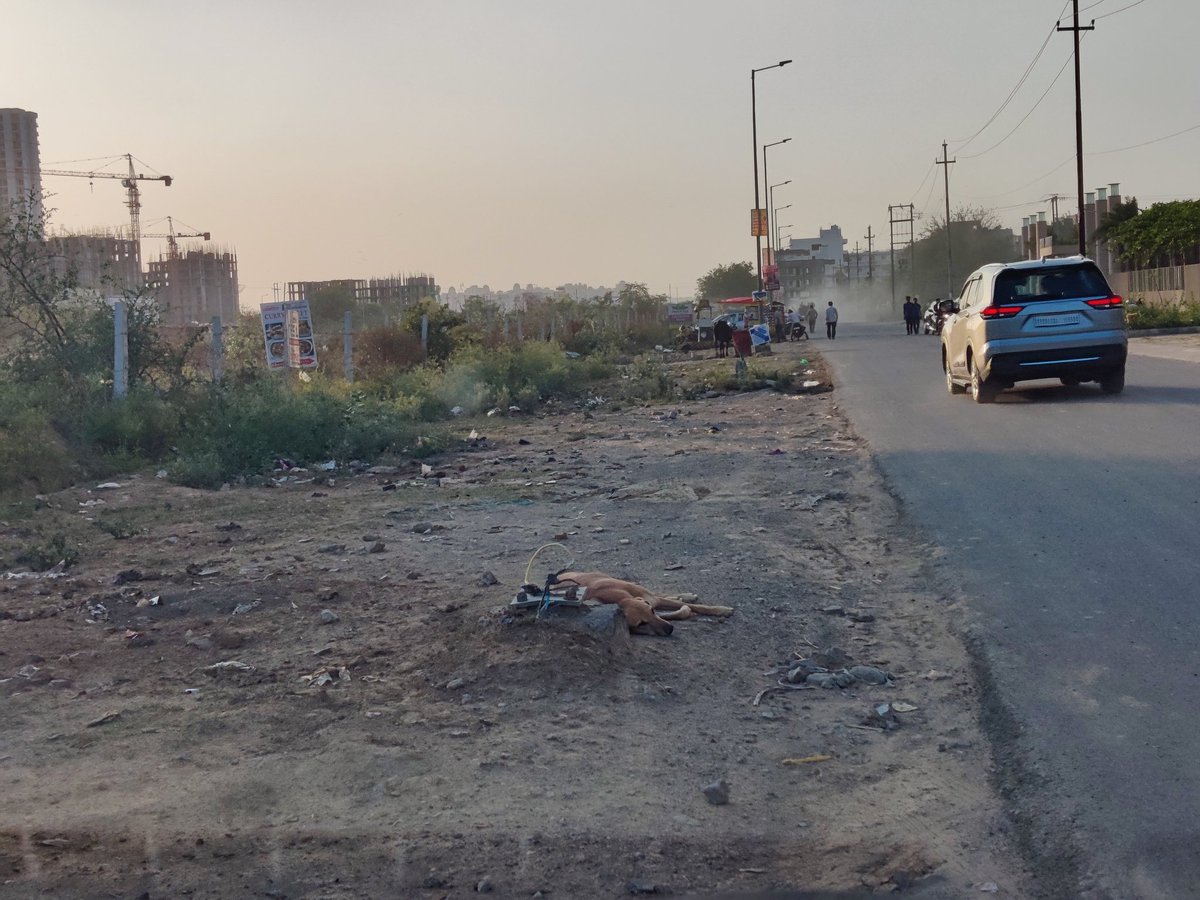 OmerRomish's tweet photo. 2 Street light poles are missing and wires are left unattended which are dangerous to humans and animals .. Request # TRX269URBN30182423 in GNIDA app
@myogiadityanath @myogioffice @noida_authority @OfficialGNIDA @CococountyO https://t.co/8Rbcg8zEpj