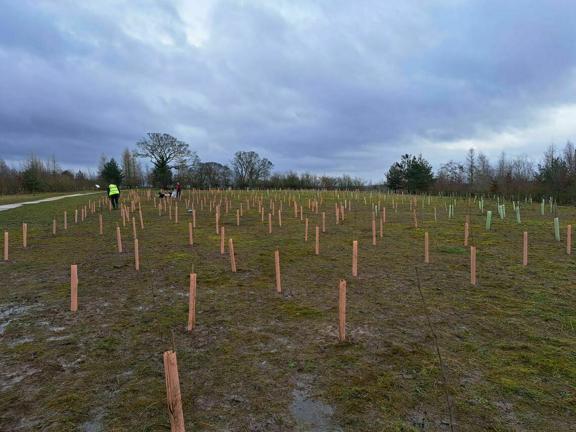 Woodland Maintenance event Saturday 11th May at 10am Now that the planting season is over, we will be running Woodland Maintenance events on the second Saturday of every month at Kimberlow Hill, University of York Campus East See our Facebook page facebook.com/TreemendousYor…