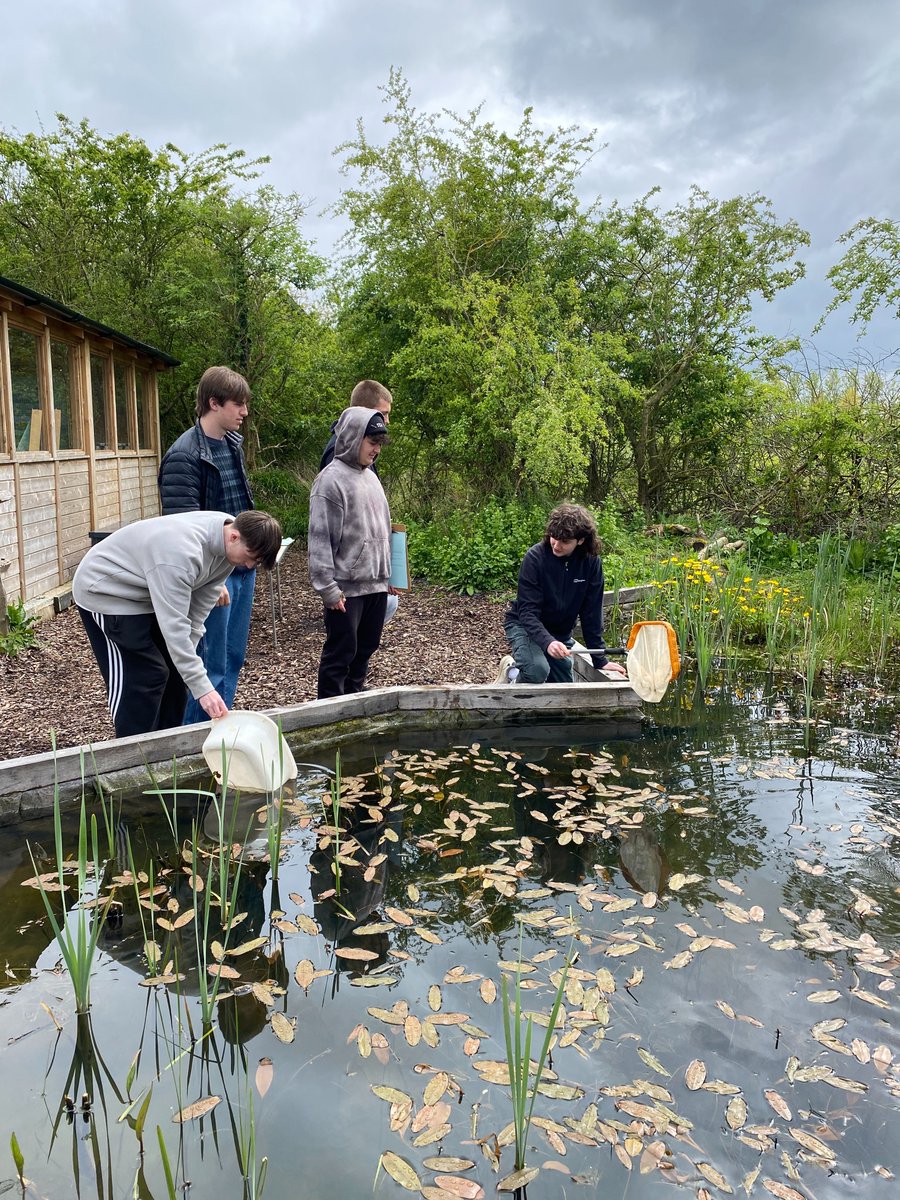 College Lake hosted our Year 12 Environmental Science students yesterday as they spent the day taking part in a field study to support their A Level course. They learnt about practising sampling techniques and took part in some practical exercises.
