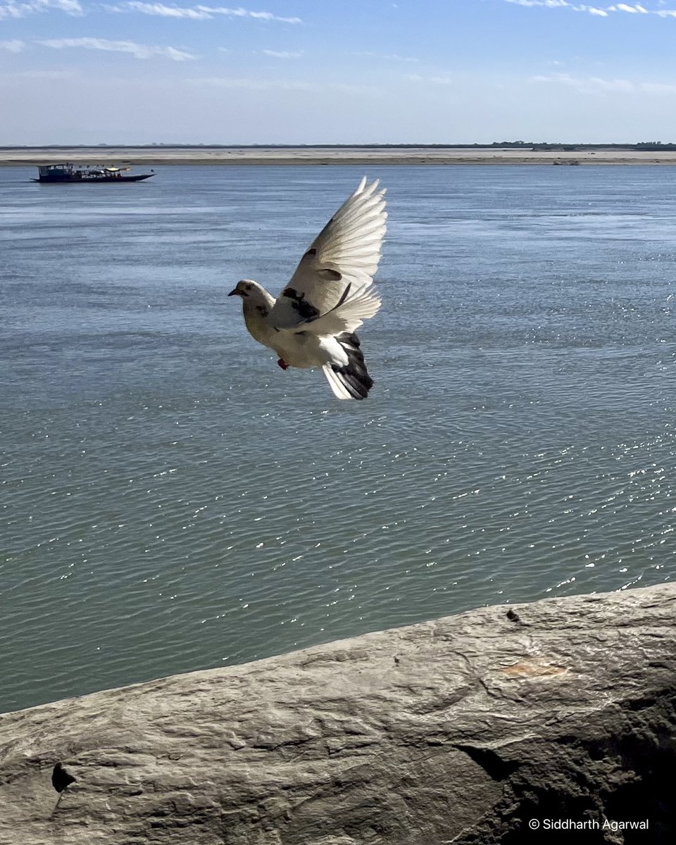 a brahmaputra memory 

triggered by a conversation with <a href="/kcmouli25/">Kartik Chandramouli</a> earlier today. 

Archival prints available to buy at ₹5,000. DM me if interested in buying.

Print details: 9inches x 13 inches (includes a 1 inch border on all sides), printed on Hahnemuhle Bright Photo Rag.