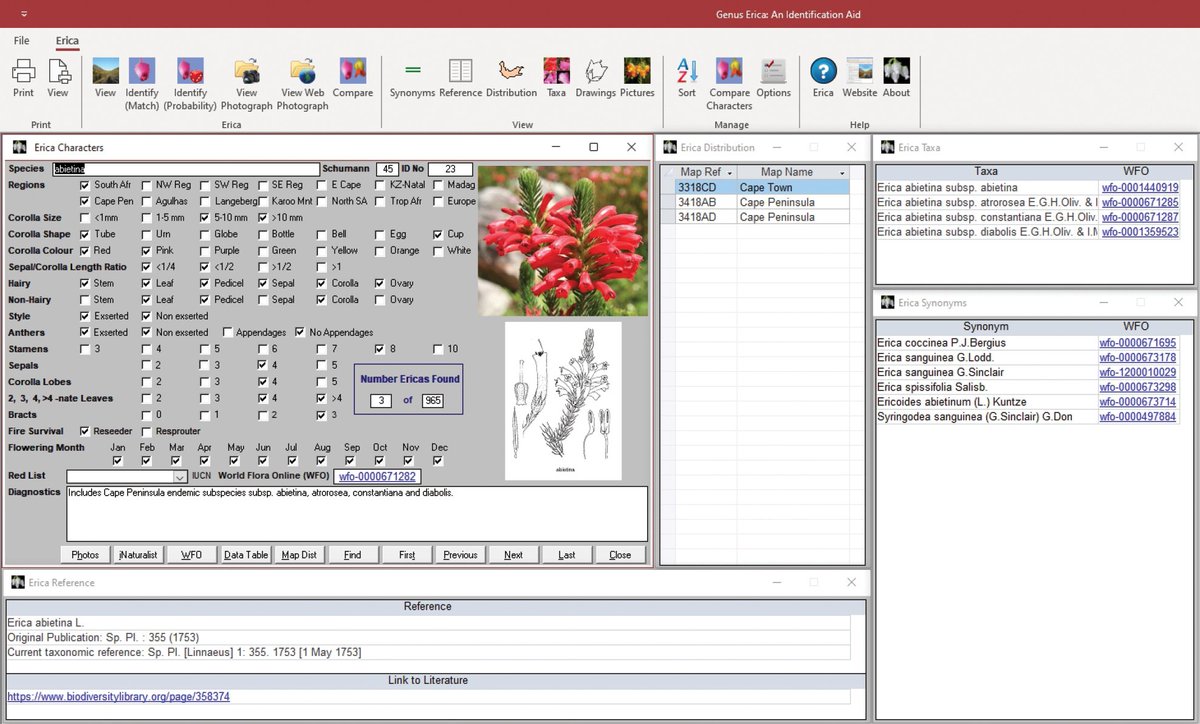 PhytoKeys's tweet image. 🌿 Introducing 'Genus Erica: An Identification Aid V4.00', a tool for botanists and enthusiasts alike, now updated with integrated data from @GBIF and @inaturalist, enhancing species identification. 🔍🌐 

doi.org/10.3897/phytok… 

#botany #biodiversity