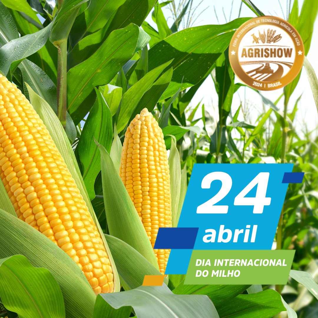 Agradeçamos aos agricultores pelo seu trabalho em cultivar esse alimento tão especial! #DiaInternacionaldoMilho