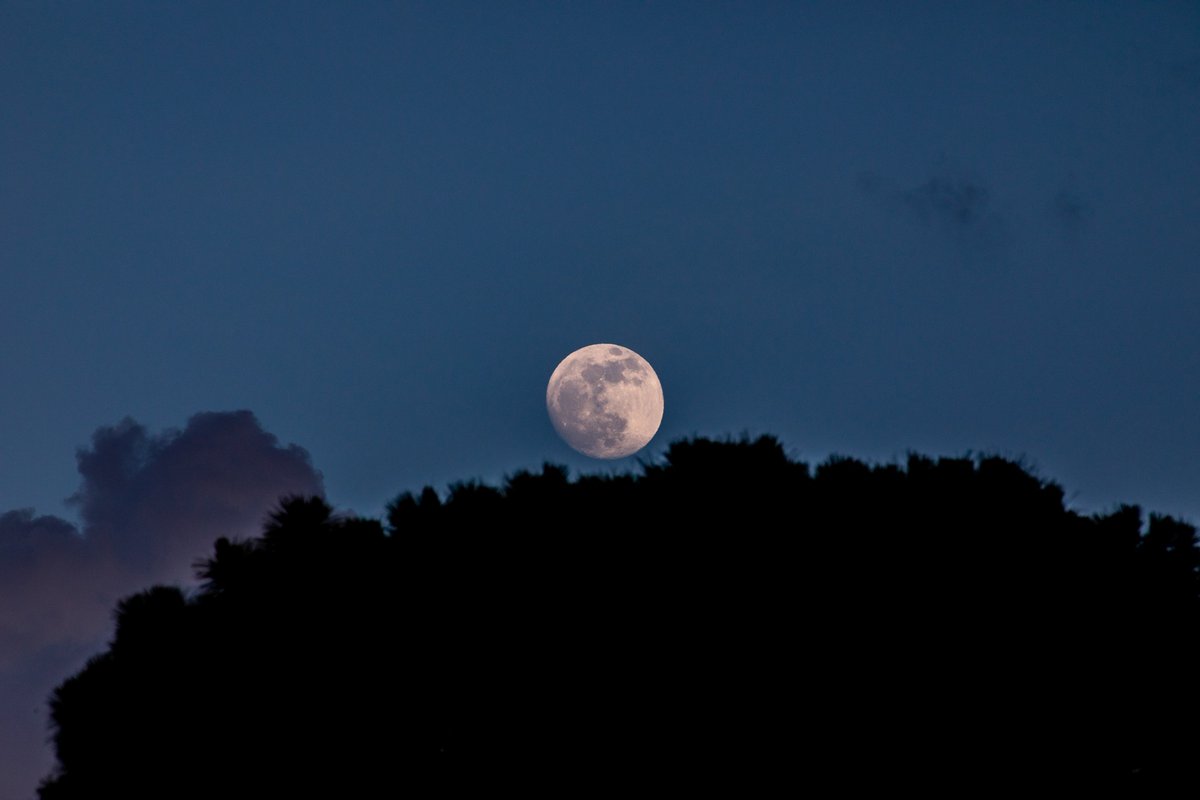 A NIGHT WHERE EVERYTHING BECOMES ROSY🩷🌌 LOOK: NASA shared a photo of April’s pink moon as it headed towards full phase until April 25. April's full moon reached its peak at 7:49 a.m. this Wednesday, April 24, in the country, according to PAGASA. (📷: NASA)