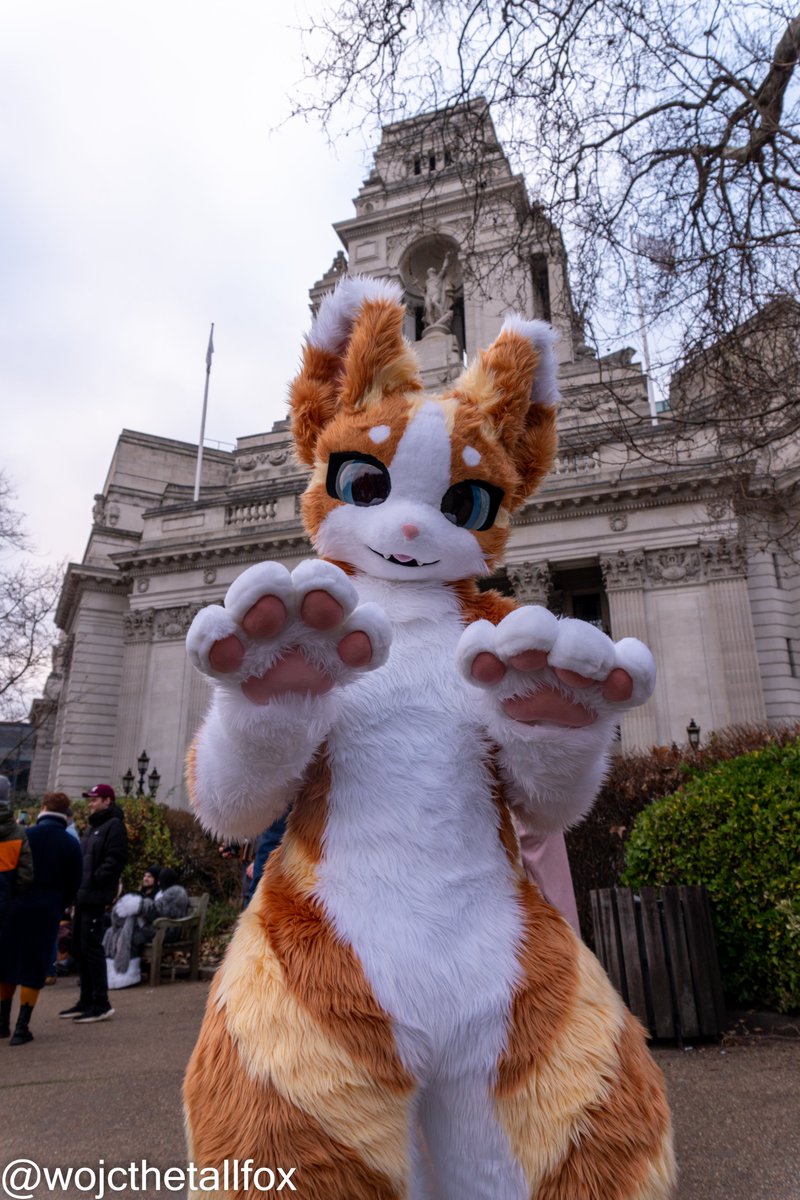 Toffee at #londonfurs 13/01/2024