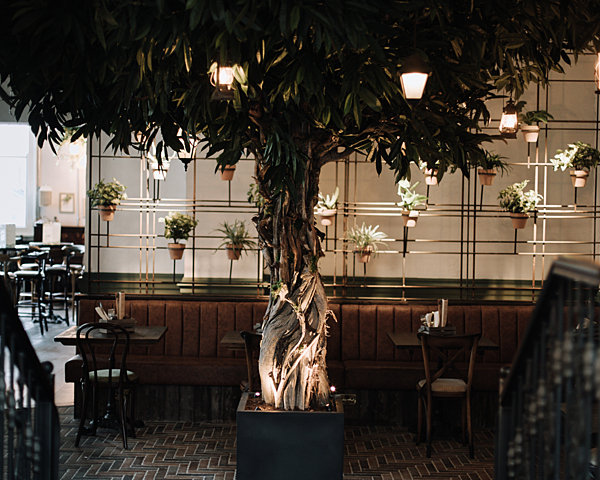 visit_bham's tweet photo. #WMTA24 Winner Spotlight๐๐
@thebotanistuk Brindleyplace won gold for Pub of the Year at the West Midlands Tourism Awards 2024 ๐ฅณ
The welcoming pub overlooks the canals and boasts a varied menu including their iconic hanging kebabs!
Book your table ๐ https://t.co/emUB3UYO3X https://t.co/K8QS7YvLV8