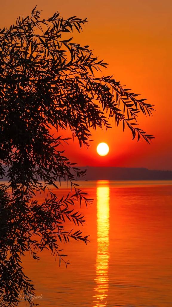 Good Evening X family💜

🙃ملے جو کوئی ہم سا تو تھام کے رکھنا
ہم بھی تو دیکھیں۔۔۔۔۔ مدِ مقابل اپنا🫣