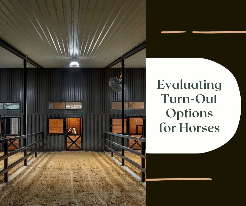 When it comes to thinking about turn-out options for horses, there are a lot of opinions about what is best practice. Here are some turn out options to consider when designing your perfect horse property: ow.ly/h3KH50Q7uuS