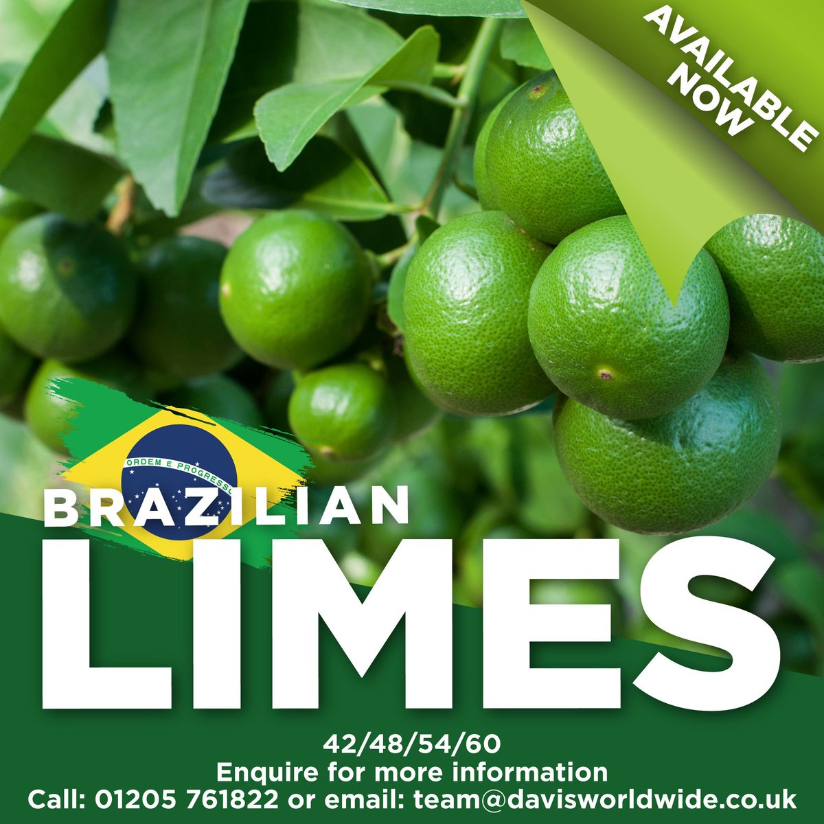 Brazilian Limes, Available Now, Providing more than 20% of your daily needs, eating Limes or drinking Lime juice may improve your immunity!

Enquire for further information call 01205 761822 or email team@davisworldwide.co.uk

#limes #limesfestival #lime #Brazil #juicy #crispy