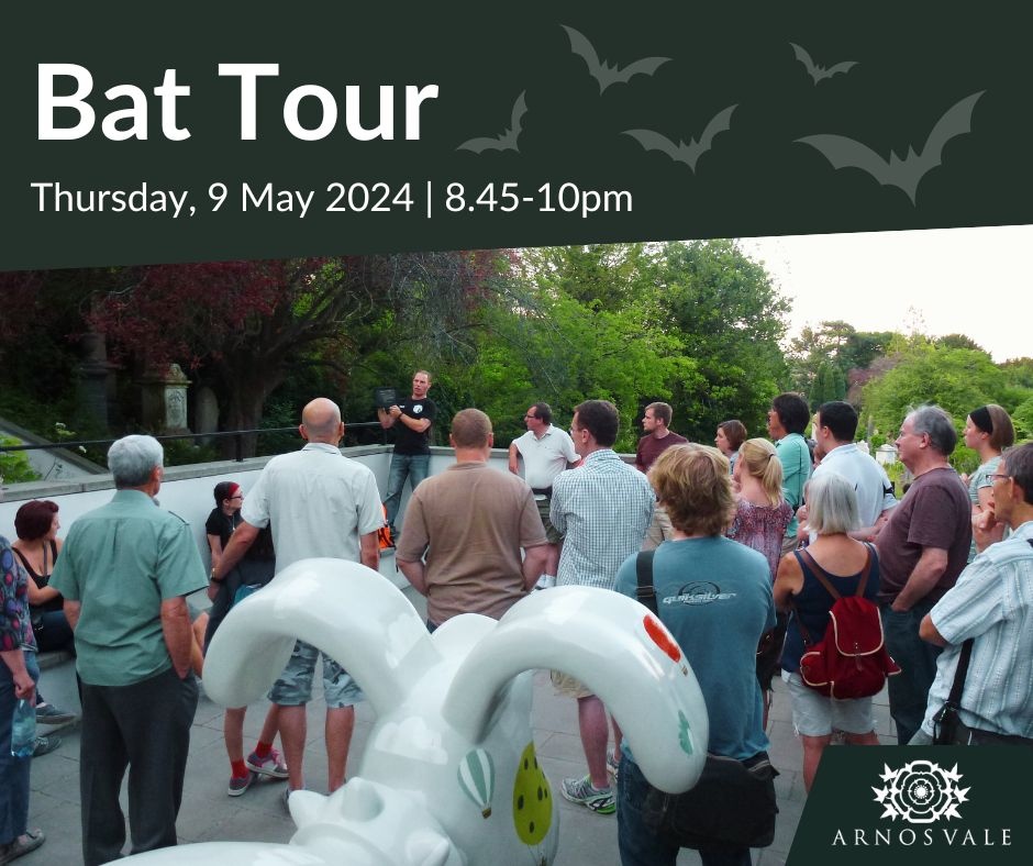 Spend an evening in the fascinating company of our knowledgeable 'bat man' ecologist, Dan Flew! He'll share research discoveries and facts on bats, including lesser horseshoe bats and pipistrelles. We'll be joined by our very own resident bats at dusk!🌙👉 lght.ly/iala0nn