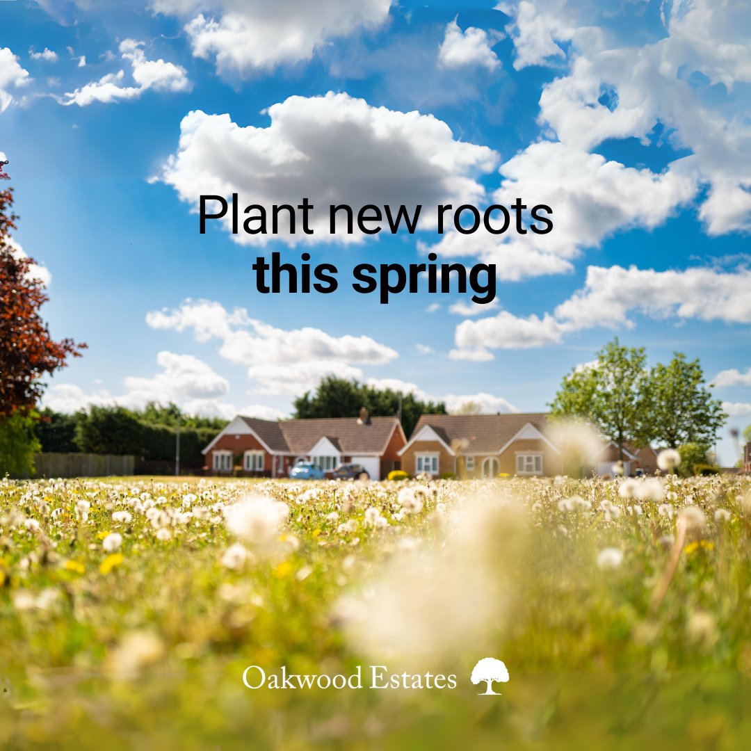 Spring is the season of new beginnings, so what better time to secure your dream home? 🦋

Browse our properties here:

oakwood-estates.co.uk/property-for-s…

#Oakwoodestates #estateagency #moving #spring #movinghome #property #homesofinstagram #home #oakwood #forsale #properties