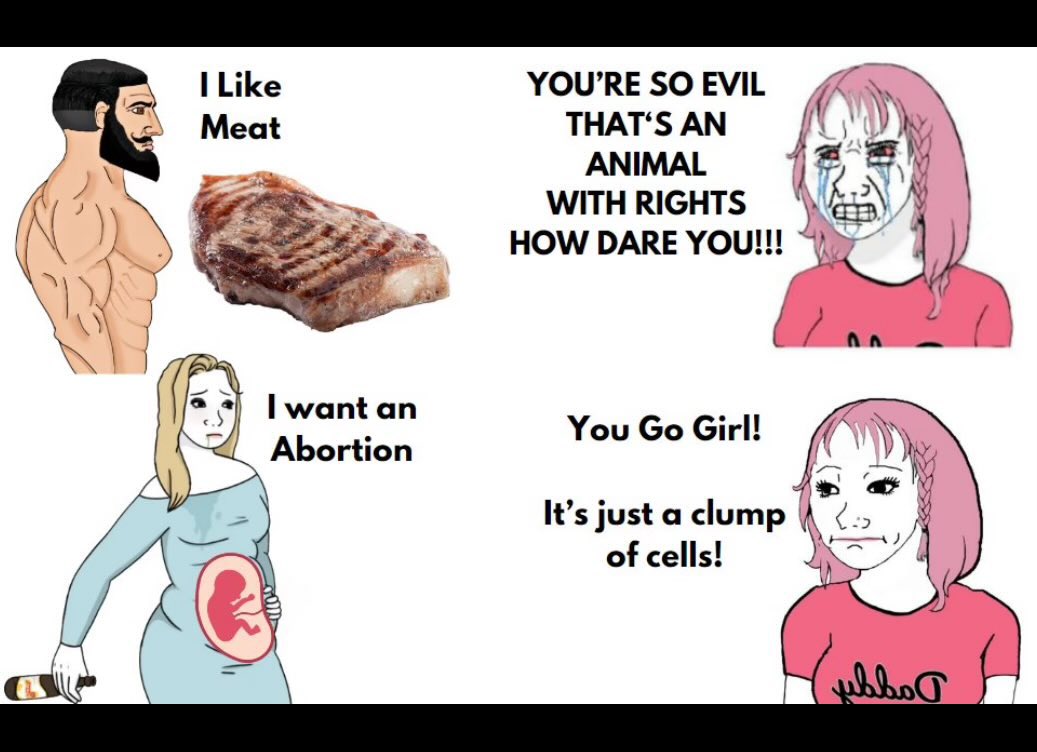 #AnimalCruelty #abortionrights