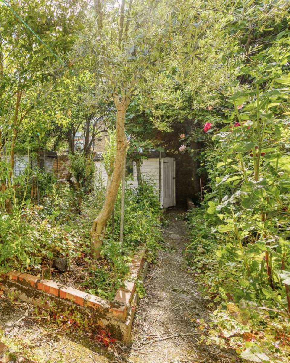 Network Auctions tweet media