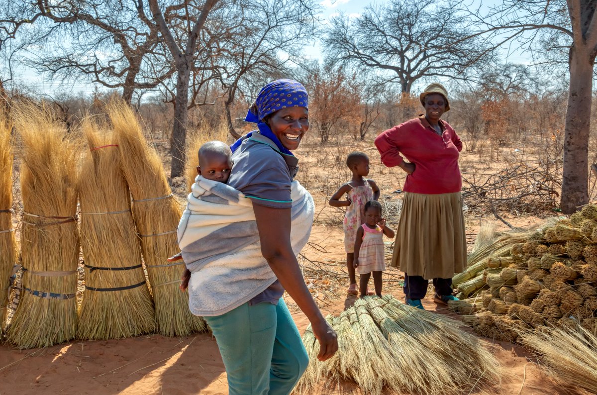 Check out Module B of the adaptable slide deck by #HMHB on the global scope of #maternalmalnutrition. Advocate for multiple #micronutrient #supplementation using this tool available in ENG, SP, FR & AR. 👉ow.ly/nS8Y50Rg4vS #InvestInMMS #BestBetMMS