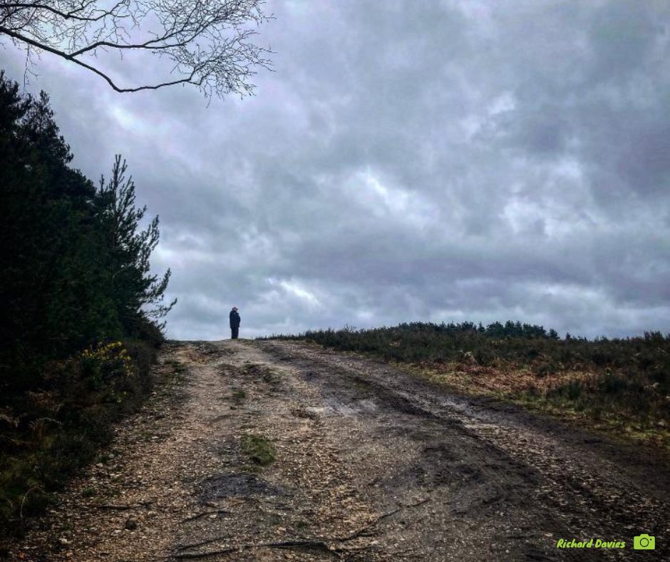 Our lovely warden team are out & about on the Special Protection Area, whatever the weather!

Equipped with tons of knowledge about the #ThamesBasinHeaths and free information to hand out, do say hello and stop for a chat! We love to hear your stories 😀
tbhpartnership.org.uk/about-us/