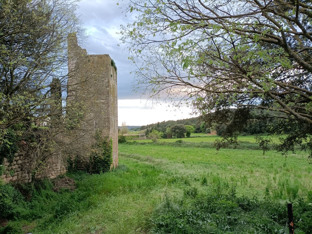 La sortida de descoberta de plantes medicinals a l'entorn del poble de #Peratallada és ja un clàssic a la Fira de les Herbes, d'aquest diumenge, 28/4! Recorda portar un cistell, tisores i moltes ganes d'aprendre. 🌿✂️ 📍 Plaça del Castell. ℹ️ bit.ly/4aM5g2k @costabrava