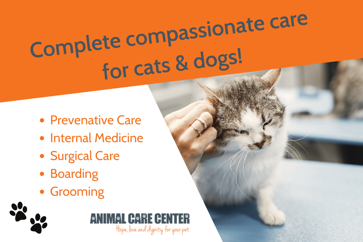Finding a veterinarian that’s the best one for your furry family is the key to their good health. At the Animal Care Center of Smyrna love & compassionate care for your pets will always be our top priority. 

animalcarecentersmyrna.com/our-services/

#veterinarian #grooming #petboarding #SmyrnaGA