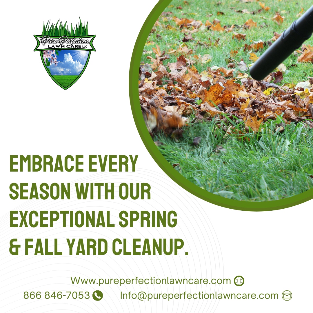 Let's get your yard ready for whatever Mother Nature brings!

🌐 pureperfectionlawncare.com
📞 866 846-7053
📧 Info@pureperfectionlawncare.com

#PurePerfectionLawnCare #lawncare #landscaping #lawn #lawnmaintenance