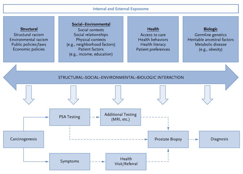 Prostate Cancer Foundation Screening Guidelines for Black Men in the United States | NEJM Evidence evidence.nejm.org/doi/10.1056/EV… From @WilliamOhMD and colleagues #prostatecancer