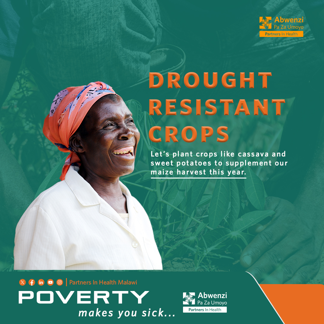 Uncertainty of having enough to eat for yourself or #family, can be a source of #stress & #anxiety. As most people are likely to face #food shortages, which may result in mental stress, we are encouraging farmers to plant drought-resistant #crops. more: rb.gy/0jsseh