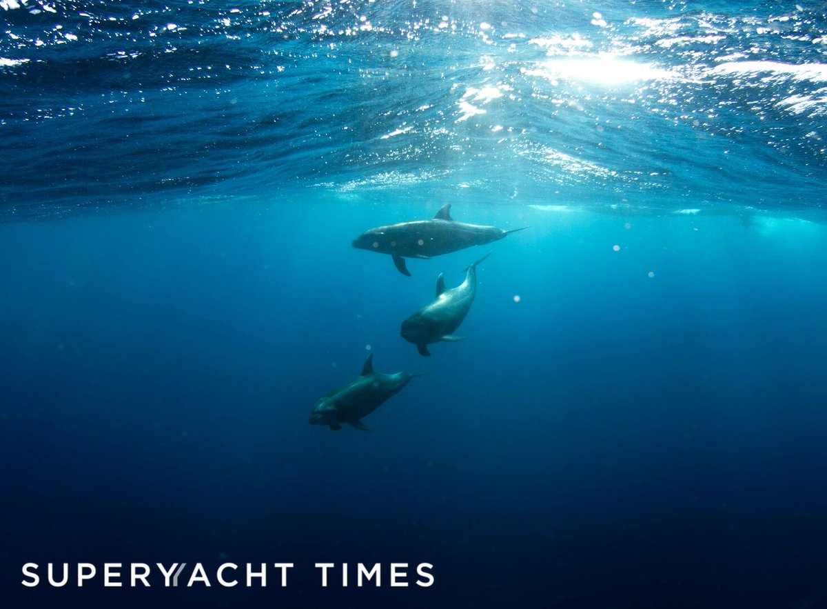 🌊 The Prince Albert II of Monaco Foundation, along with key donors, commits $60.8 million to protect the Mediterranean Sea, aiming for 30% protection by 2030. Urgent action needed to address climate change threats. Let's safeguard this vital ecosystem! 🐬 eu1.hubs.ly/H08HMjY0