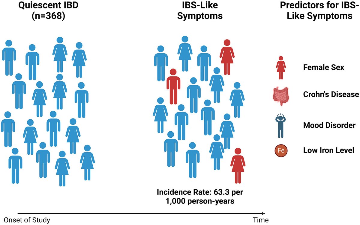 ✅Incidence rate of developing #IBS-like symptoms is 63.3 per 1000 person-years in patients with #quiescent #IBD🔥 ✳️#Predictors of IBS-like symptoms ▶️#female sex #Crohn's disease #MoodDisorder &⬇️#Iron levels🆕 👉onlinelibrary.wiley.com/doi/10.1111/nm…👏 @ANMSociety @esnm_eu #GITwitter