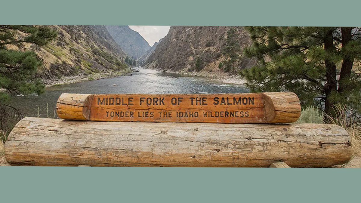 Saltwater on the Fly tweet media