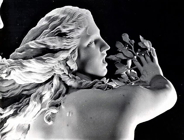 🌿Gian Lorenzo Bernini🌿
      Maestro del Barocco