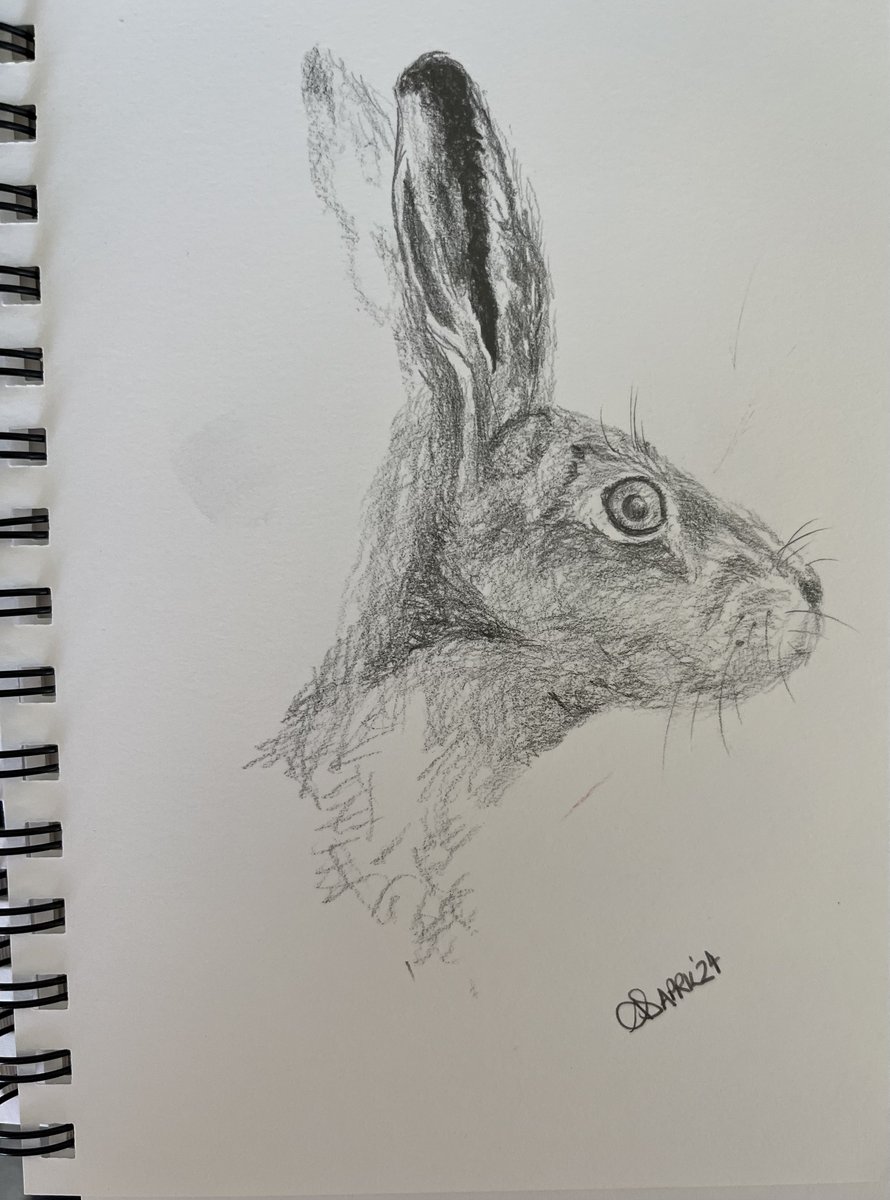 One of my recent sketches of a hare.  I was fortunate to be able to see the hare in the wild and get a photograph to use as reference.

#drawing #WildlifeWednesday #AnimalLovers #sketchbook