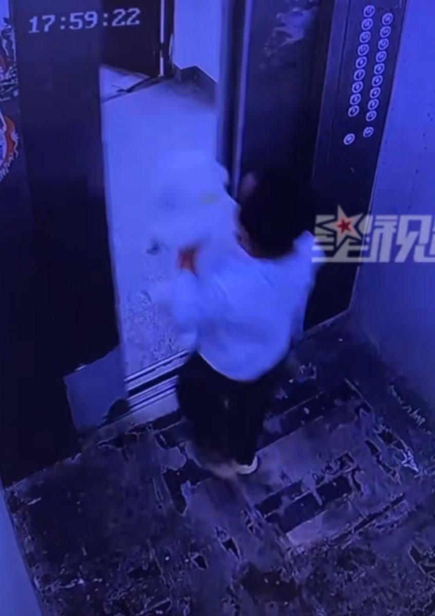 PhaedraXTeddy's tweet photo. #BeforeAndAfter Chinese boy took a puppy to the 17th floor to throw out a window. Children are mass learning to be sadistic psychopaths in #China🇨🇳.
No repercussions no #GoToYourRoom no nothing. https://t.co/HAvRF6QU67