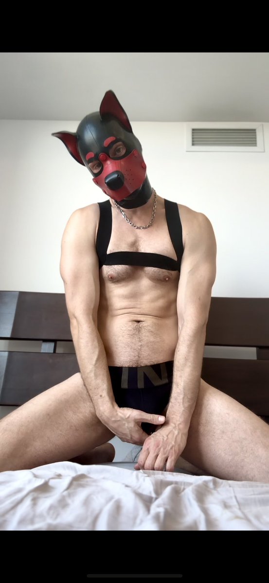 🔔🔔 Did you order a package? 

#pupplay #gaypup #pupcommunity