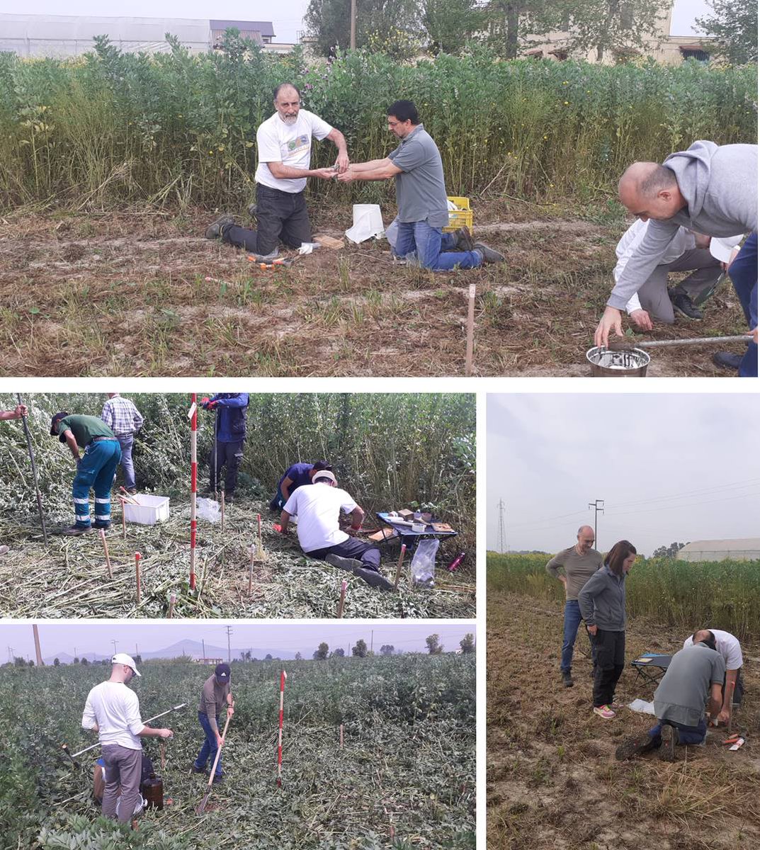 🌱🔬Campagna di campionamento per il progetto europeo Benchmarks sullo stato di salute del suolo
Per approfondimenti👉isafom.cnr.it/index.php/it/a…
👉soilhealthbenchmarks.eu
#CNR_ISAFOM  #SoilHealthBenchmarks #CrispUnina