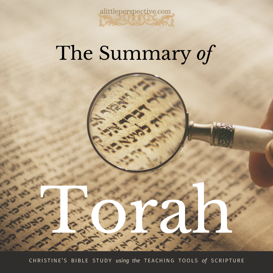 Christine982Mil's tweet image. Each book of #Torah makes a #ChiasticStructure which together proclaims: The Promised Seed delivers God’s people from darkness via the atoning sacrifice, attested by resurrection life, opening the door for their repentance and return. The Gospel of Grace.
alittleperspective.com/the-summary-of…