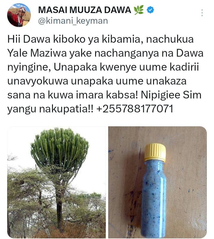 Repost Ads please,mniungishe 🙌 Pata dawa nzuri asili kabisa kwa masai Location Dodoma *️⃣Tatizo la nguvu za kiume *️⃣Uume mdogo pata dawa *️⃣ kukojoa haraka pata dawa *️⃣Uume uliopinda pata dawa *️⃣kunenepesha uume pata *️⃣ Tumbo kujaa gas pata dawa *️⃣Miguu kuwaka moto dawa zipo…