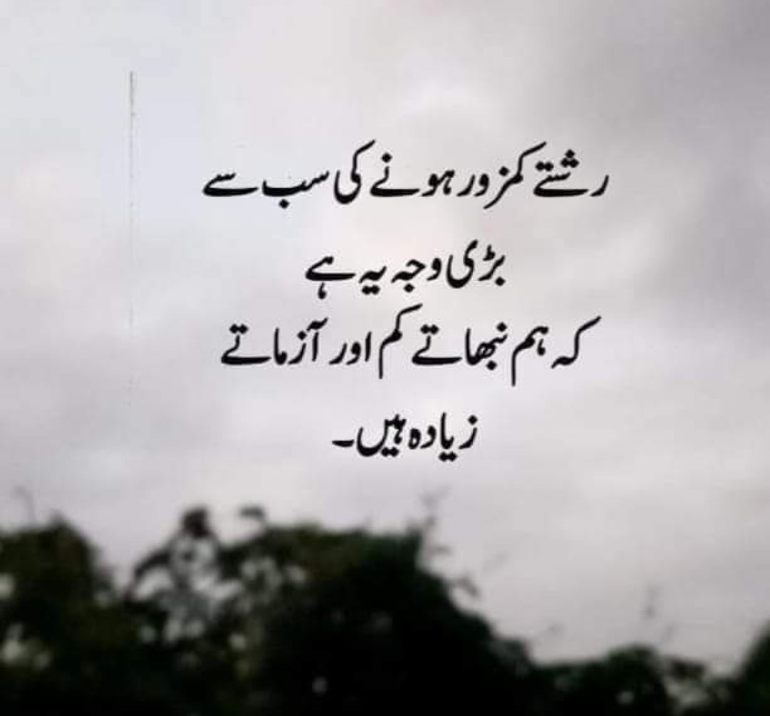 Zakriakhan55468's tweet image. True 🥀🖤
#fatcs #quotesdaily #REALITYルーム