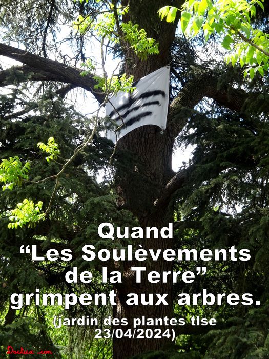 charles_tux's tweet image. #jardinsdesplantes #toulouse #lessoulèvementsdelaterre 23/04/2024 #A69 #écureuils #saïx #Castres #conseildépartementaltarn #Tarn #Hautegaronne