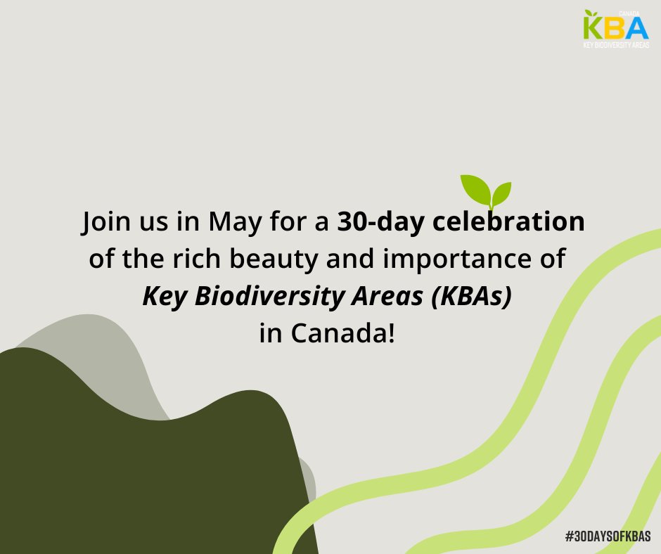 Something exciting is coming up 👀 Join us for a month-long celebration of #KeyBiodiversityAreas (KBAs) in Canada! Stay tuned to explore and learn about these unique places 🌱 #30DaysofKBAs