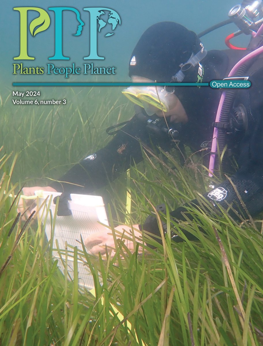 The latest issue of Plants, People, Planet is now online!

⭐ #Policy influence at Plants, People, Planet
⭐ Fungus gnat turns trap into nursery
⭐ Building an inclusive #botany
⭐ 100 priority questions for #seagrass conservation

📚 ow.ly/QmK050Rn66h

@wileyplantsci