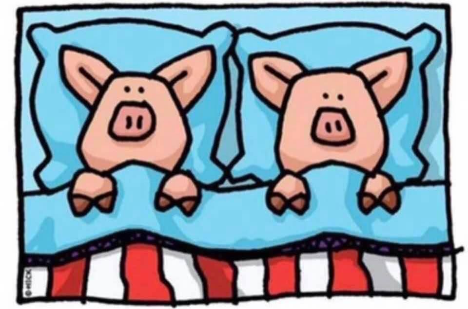 whitneydevlin's tweet photo. We certainly don’t need artist, #EdHeck ‘s reminder that today is National Pigs-in-a-Blanket Day, but it’s so much more enjoyable! https://t.co/9sGR91wYKL