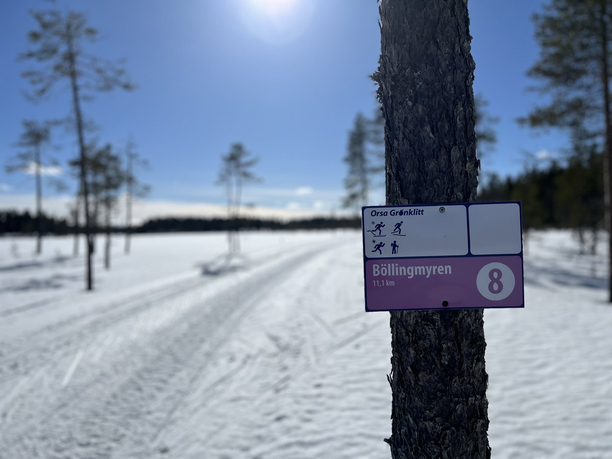 monicasofo's tweet photo. @AsfyXi Orsa Grönklitt https://t.co/bUmSLP0APQ