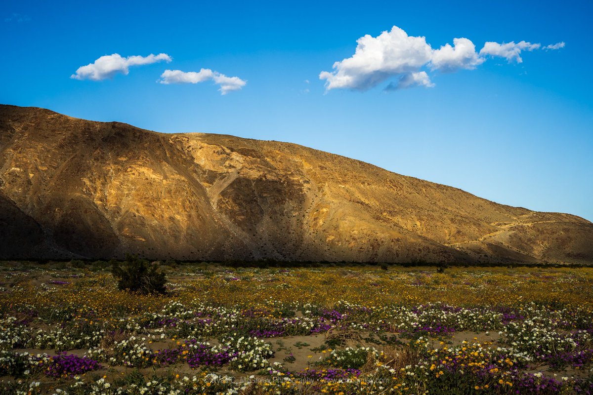 Light and shadows on the Santa Rosa Mountains #California