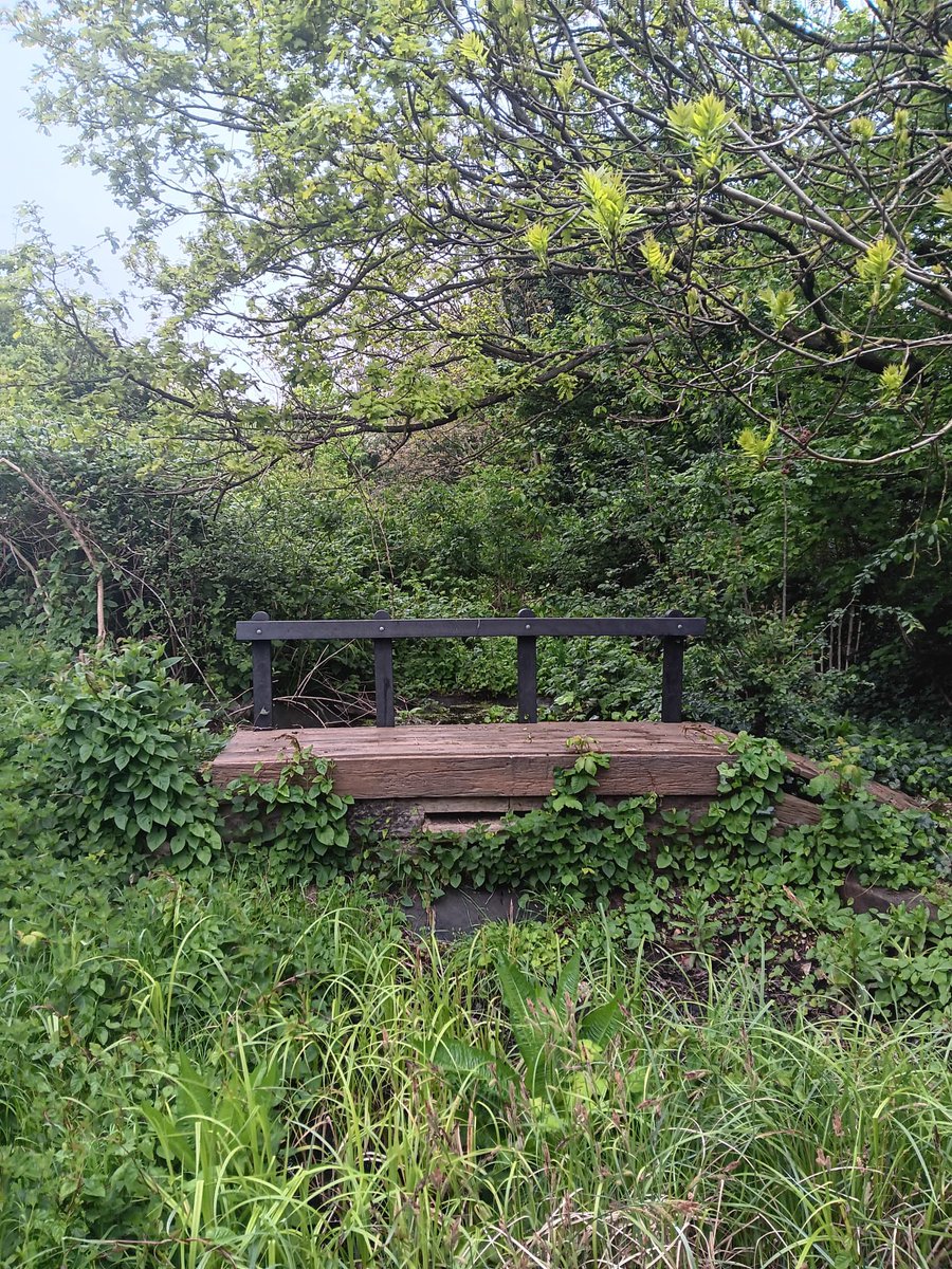 Outcome, Islington Mind LGBTQI+ (@outcomelgbtqi) on Twitter photo Had a great time out yesterday on our Nature Walk. Thanks to Islington Council Ecology Centre for organising and leading way πππ<a href="/IslingtonBC/">Islington Council</a> Had a great time out yesterday on our Nature Walk. Thanks to Islington Council Ecology Centre for organising and leading way πππ<a href="/IslingtonBC/">Islington Council</a>