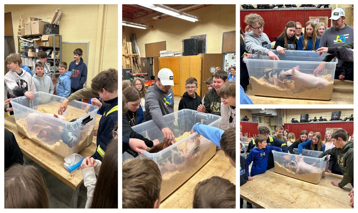Special thanks to Adam Beck for bringing in some piglets to help teach our Exploring Ag students about swine management! #ssbo