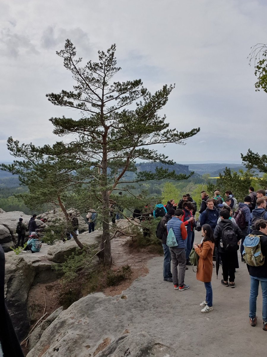 IntCha24 tweet media