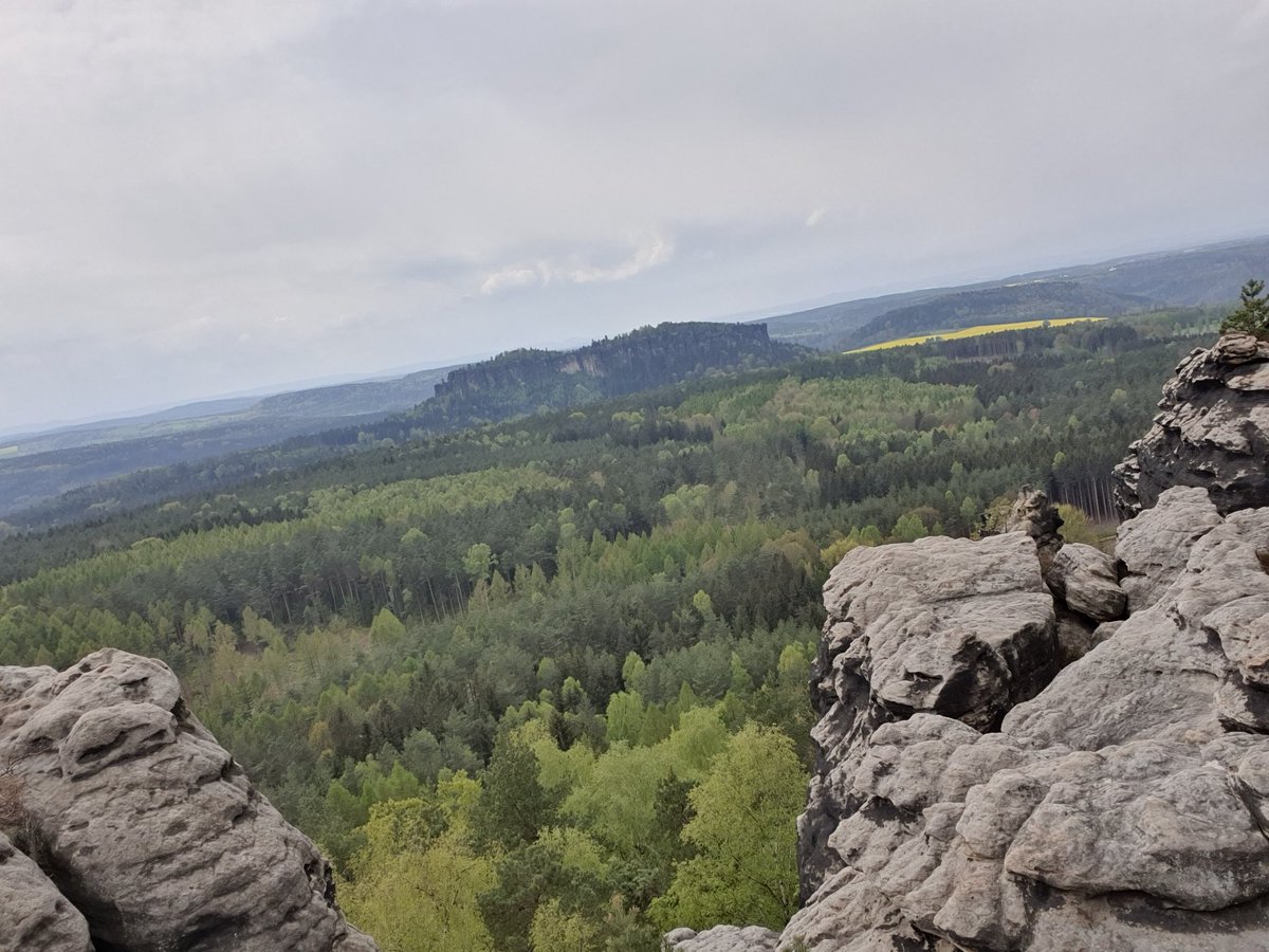 IntCha24 tweet media