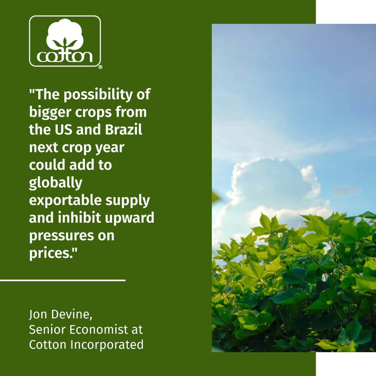 Speculative interest in #cotton appears to have faded and prices eased over the past month. Discover more insights & trends with Jon Devine, senior economist @CottonInc, in April’s monthly economic letter: lifestylemonitor.cottoninc.com/monthly-econom…