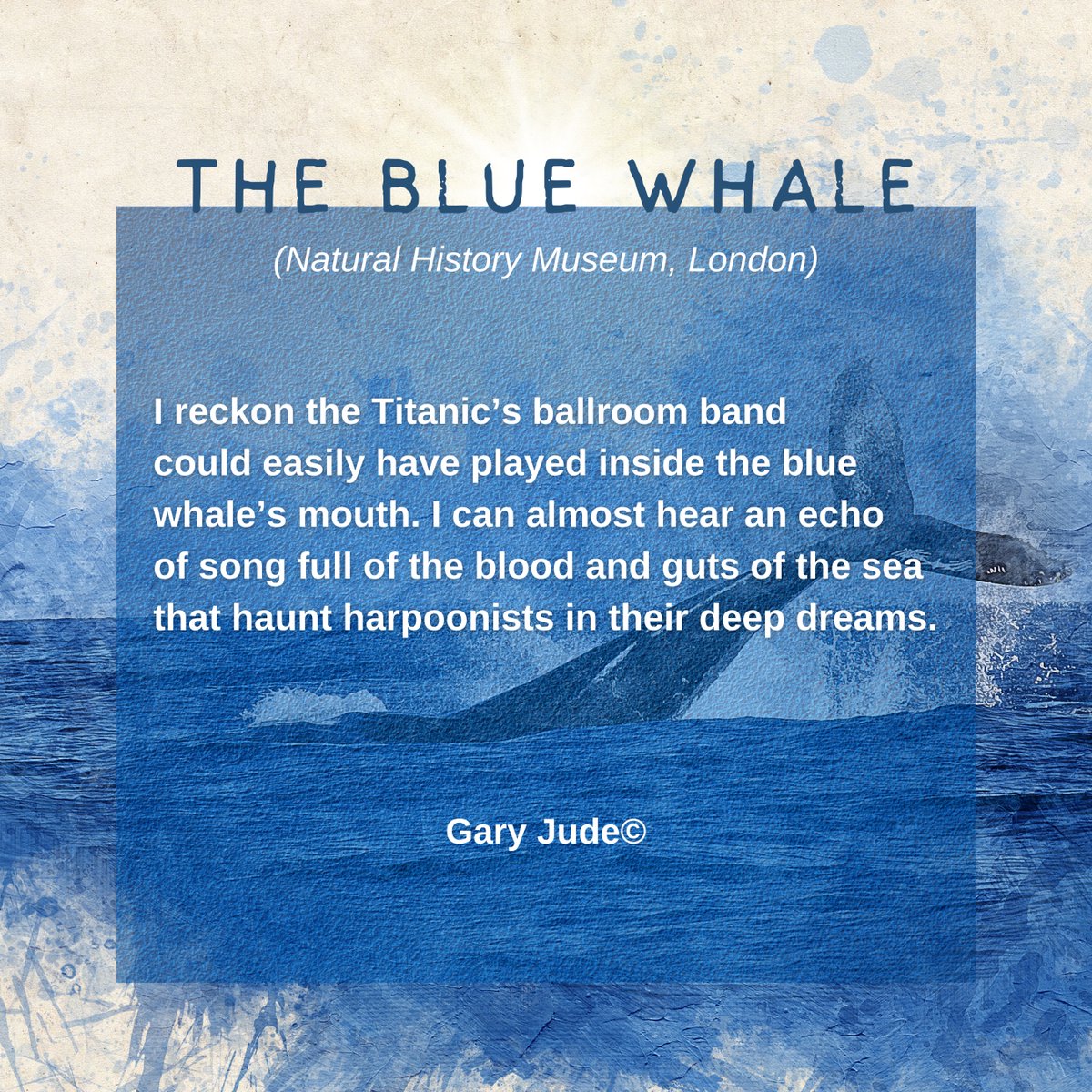 InkSweatTears's tweet photo. Today we have Gary Jude with his immersive, vivid and surreal poem 'The Blue Whale (Natural History Museum, London)'. Read more to let this poem take you on a journey.
Click the link below to read more or use the one in our bio:
https://t.co/Em6otSjdsf
#Poem #FeaturedWork https://t.co/nZekp9Ww8F